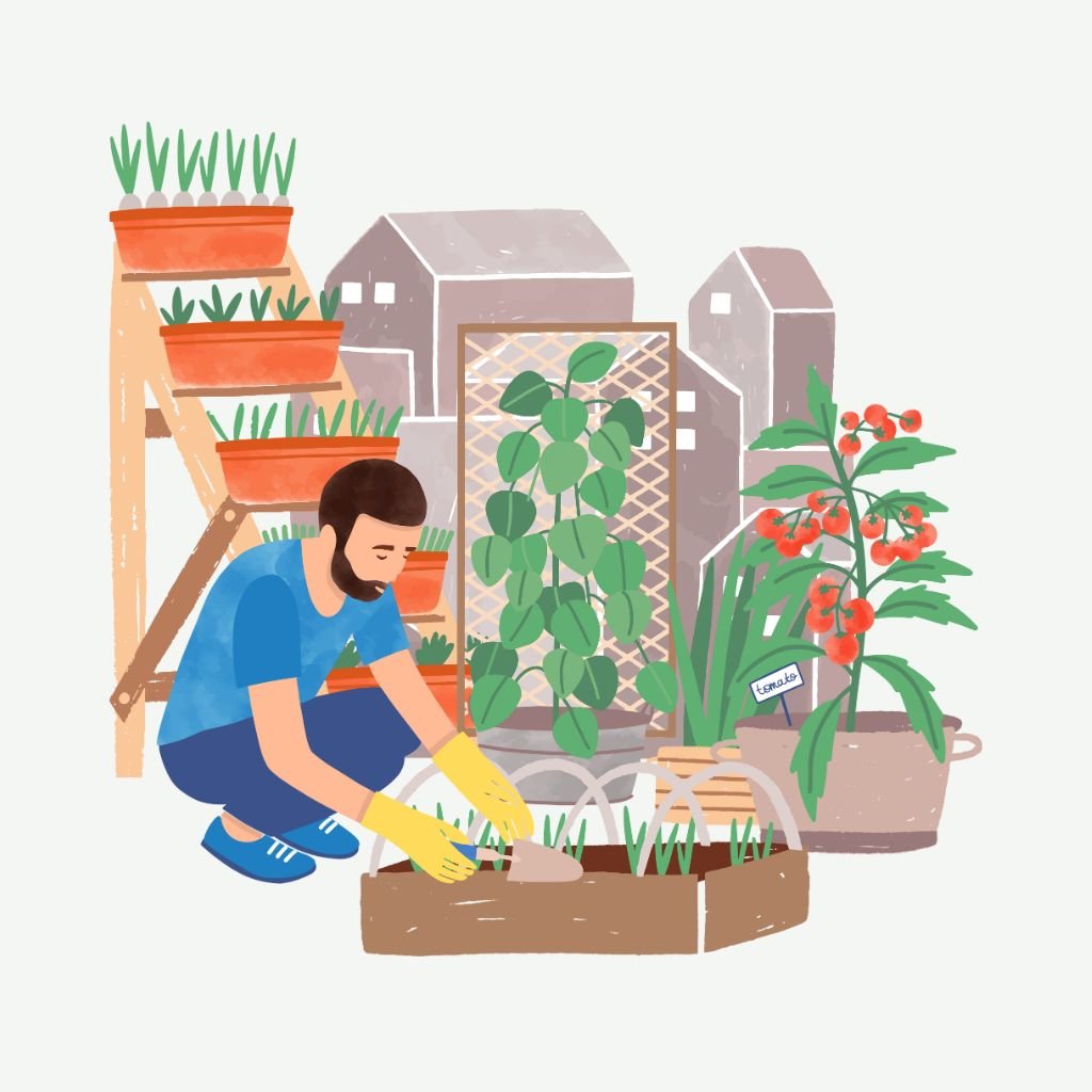 Fertilizantes para cultivo interior y exterior