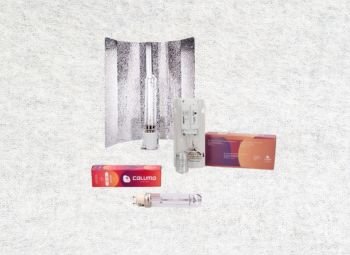 Iluminación para cultivos indoor