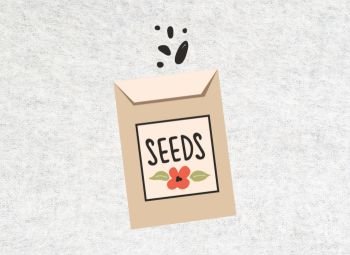 Semillas Huerto y Jardín