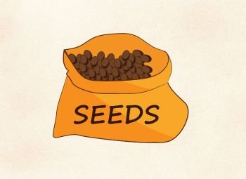 Semillas Huerto y Jardín