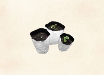 Sustratos cultivo interior y exterior