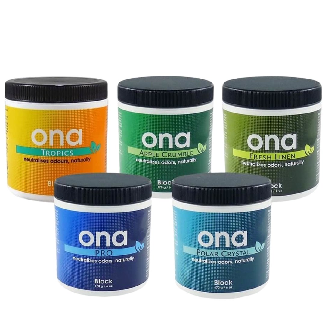 ONA Block FL 170 gr.