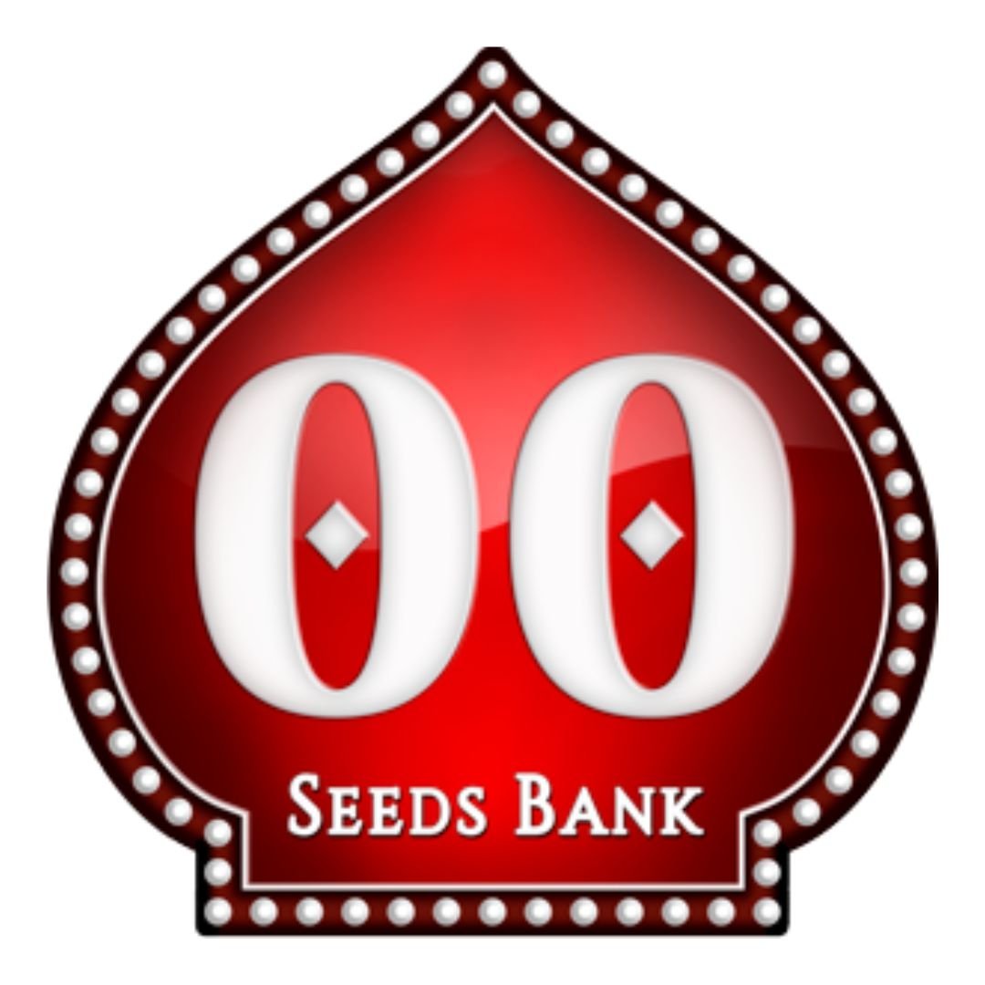 Auto bubble gum XXL 00 Seeds