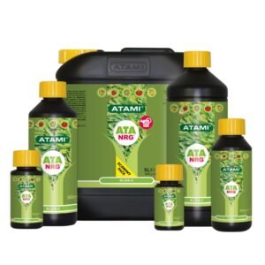 ATA NGR Alga C ATAMI