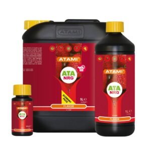 ATA NRG Flavor ATAMI