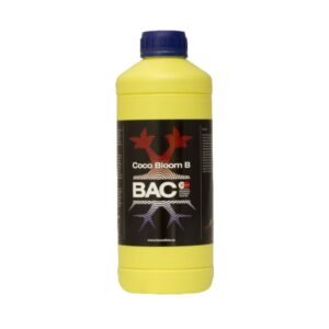 Kit Coco Bloom B B.A.C.