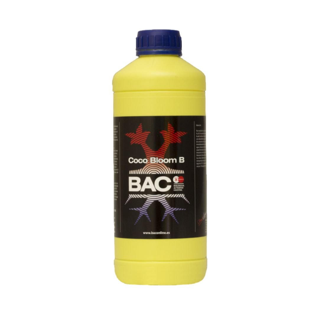 Kit Coco Bloom B B.A.C.