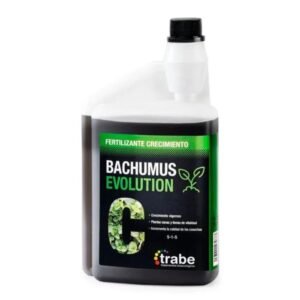 Bachumus Evolution crecimiento Trabe