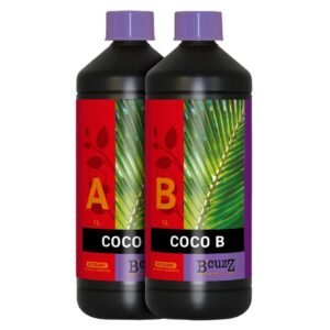 B’cuzz Coco A&B ATAMI