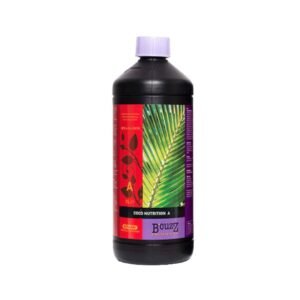 B’cuzz Coco A Atami