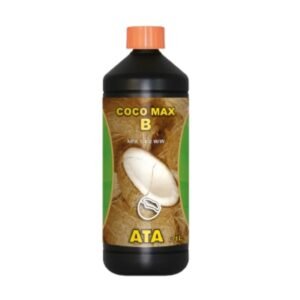 Ata Coco Max B ATAMI