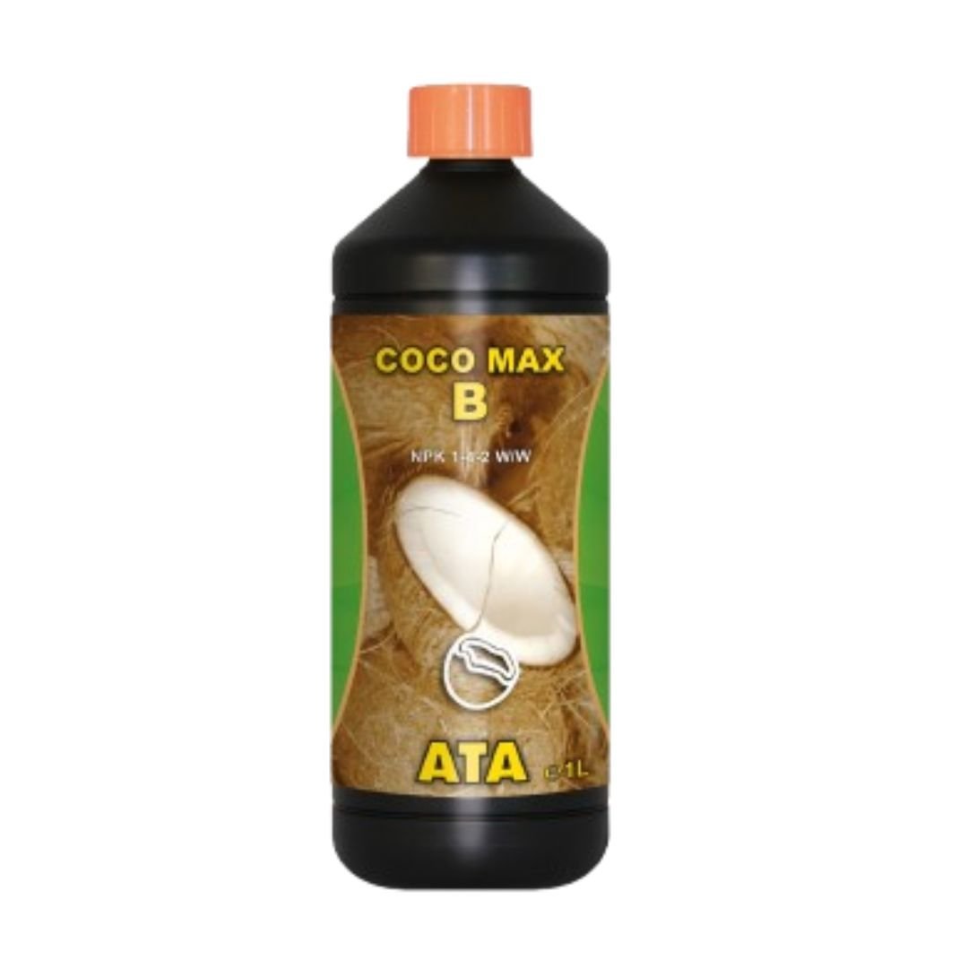 Ata Coco Max B ATAMI