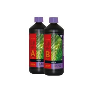 Coco A+B B`cuzz ATAMI