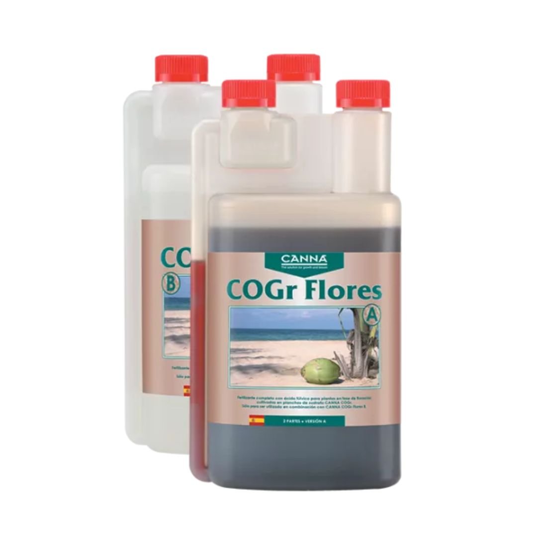 Canna COGr Flores A&B