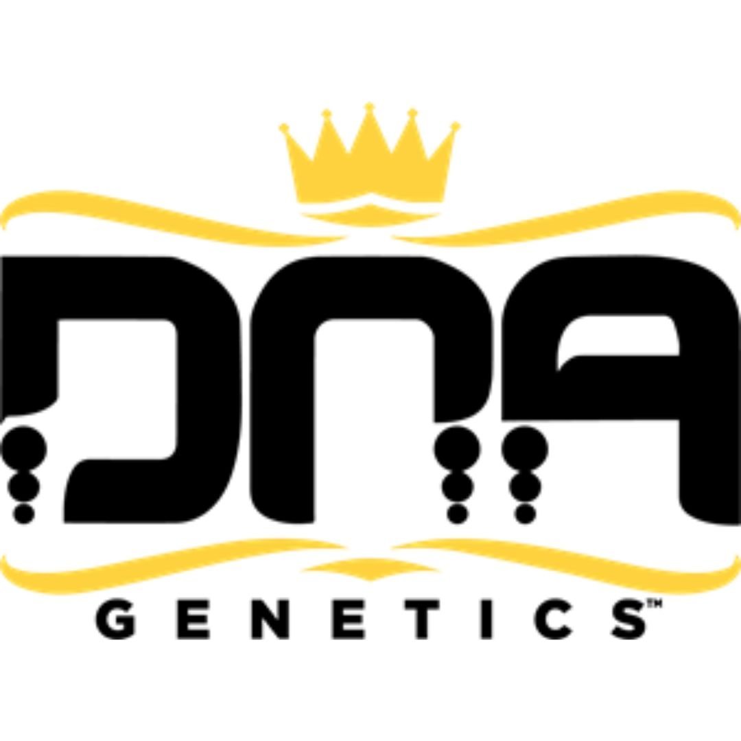 Banana Sorbet DNA Genetic