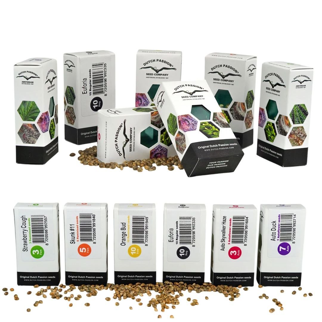 Power Plant Dutch Passion Seeds