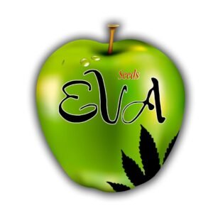 Gorilla Candy 3uds Eva Seeds