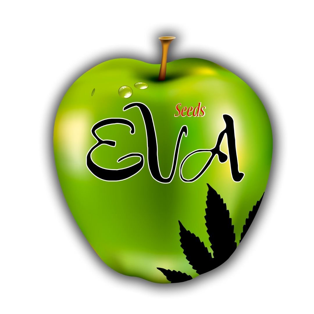 Veneno 3uds EVA SEEDS