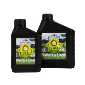 Fast Food Orgánico B.A.C.