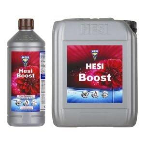 Hesi Boost Hesi