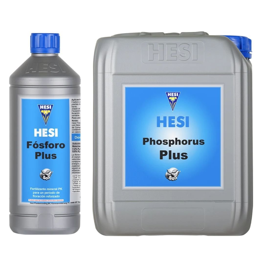 Fósforo Plus Hesi