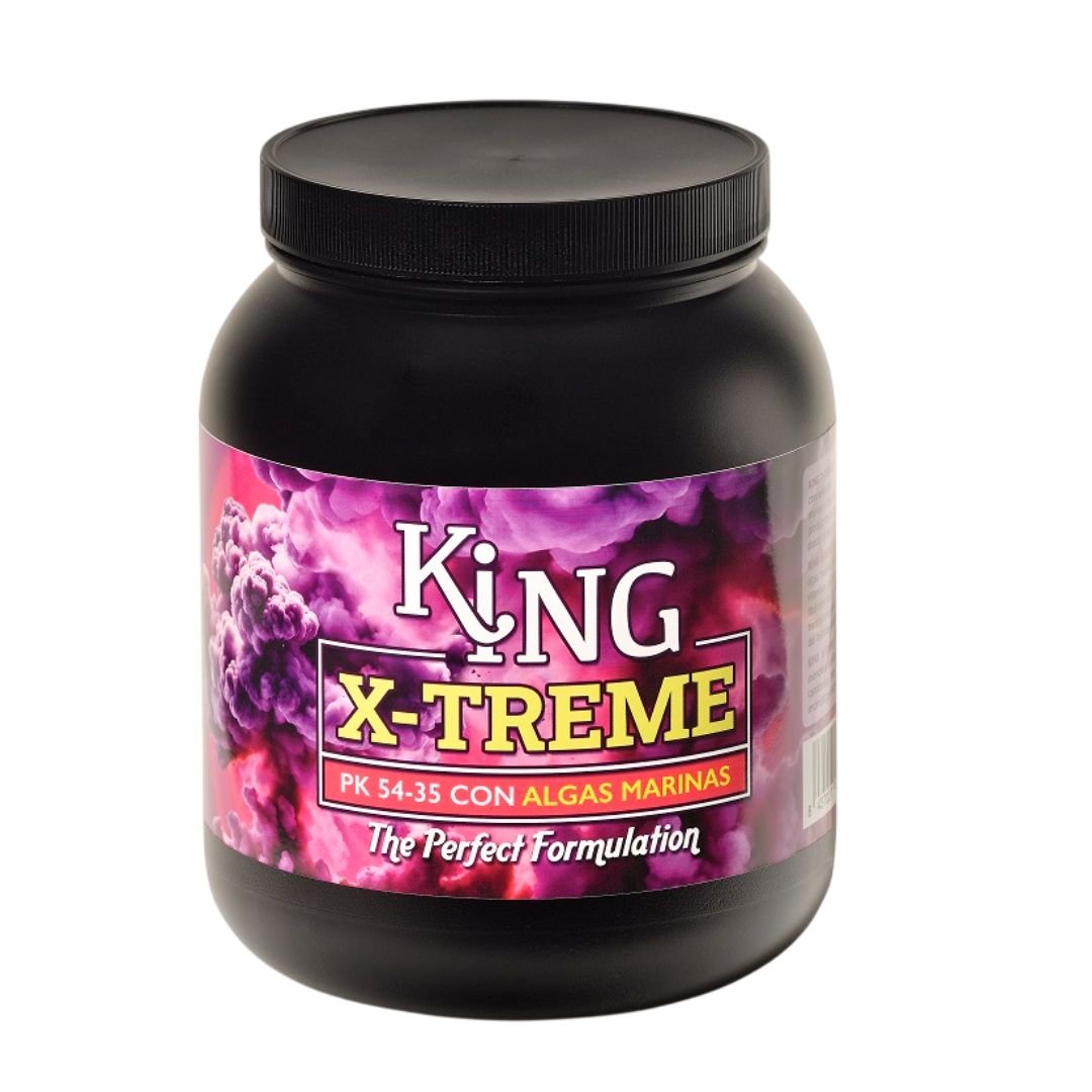 KING X-TREME TRABE