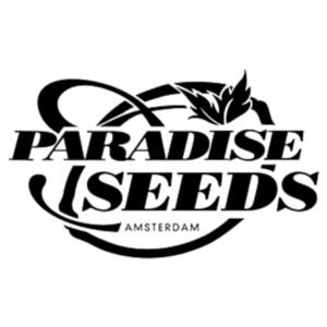 Spoetink+1 fem Paradise Seeds