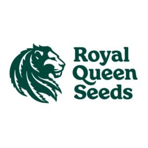 Hulkberry Fem Royal Queen Seeds