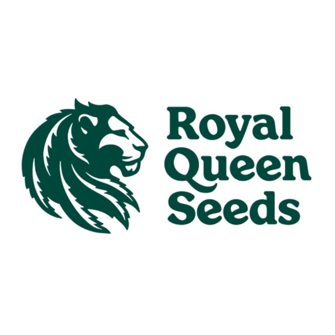 Amnesia Haze Royal Queen seeds
