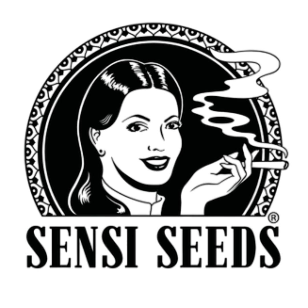 Auto Skunk #1 fem Sensi Seeds