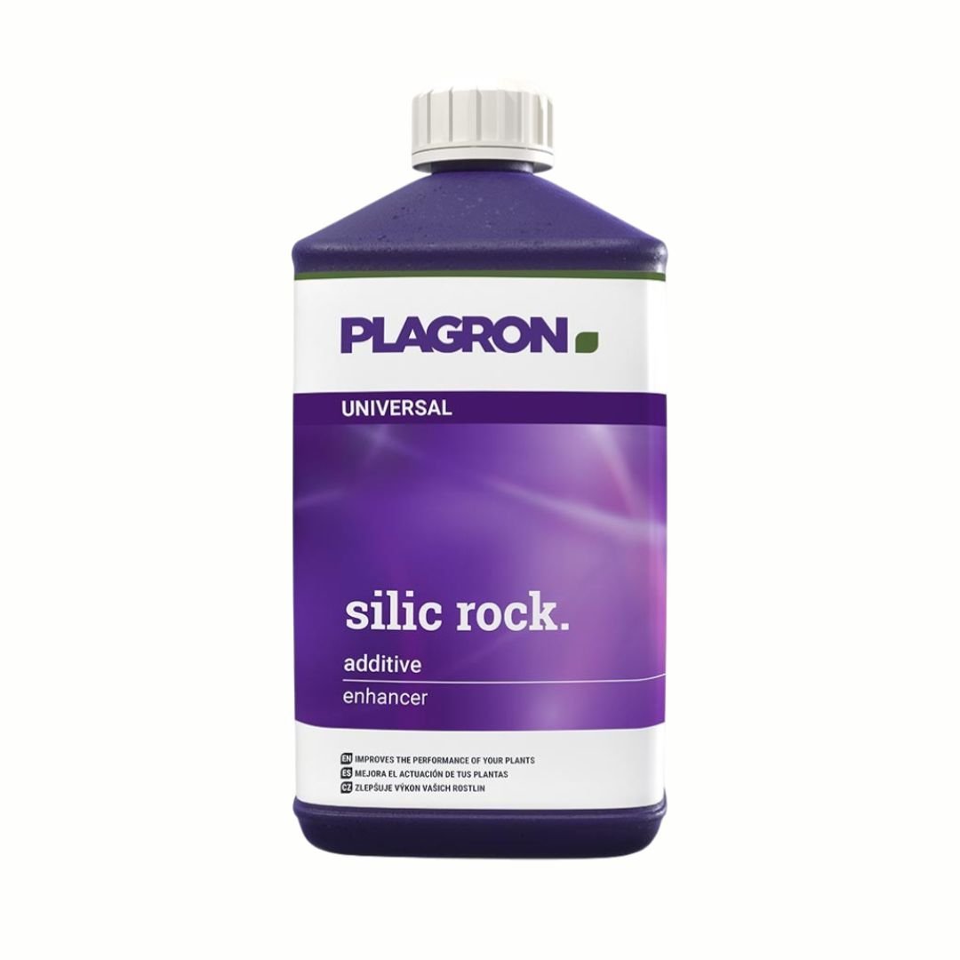 Silic Rock Plagron