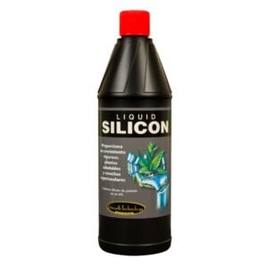Liquid silicon Growth Technology