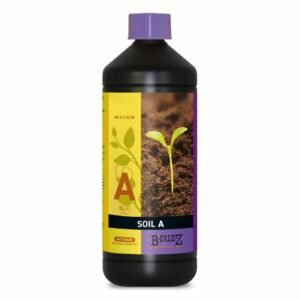 B’cuzz Tierra A Atami