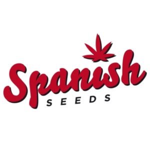 Black Domina x AK 50 uds Spanish Seeds