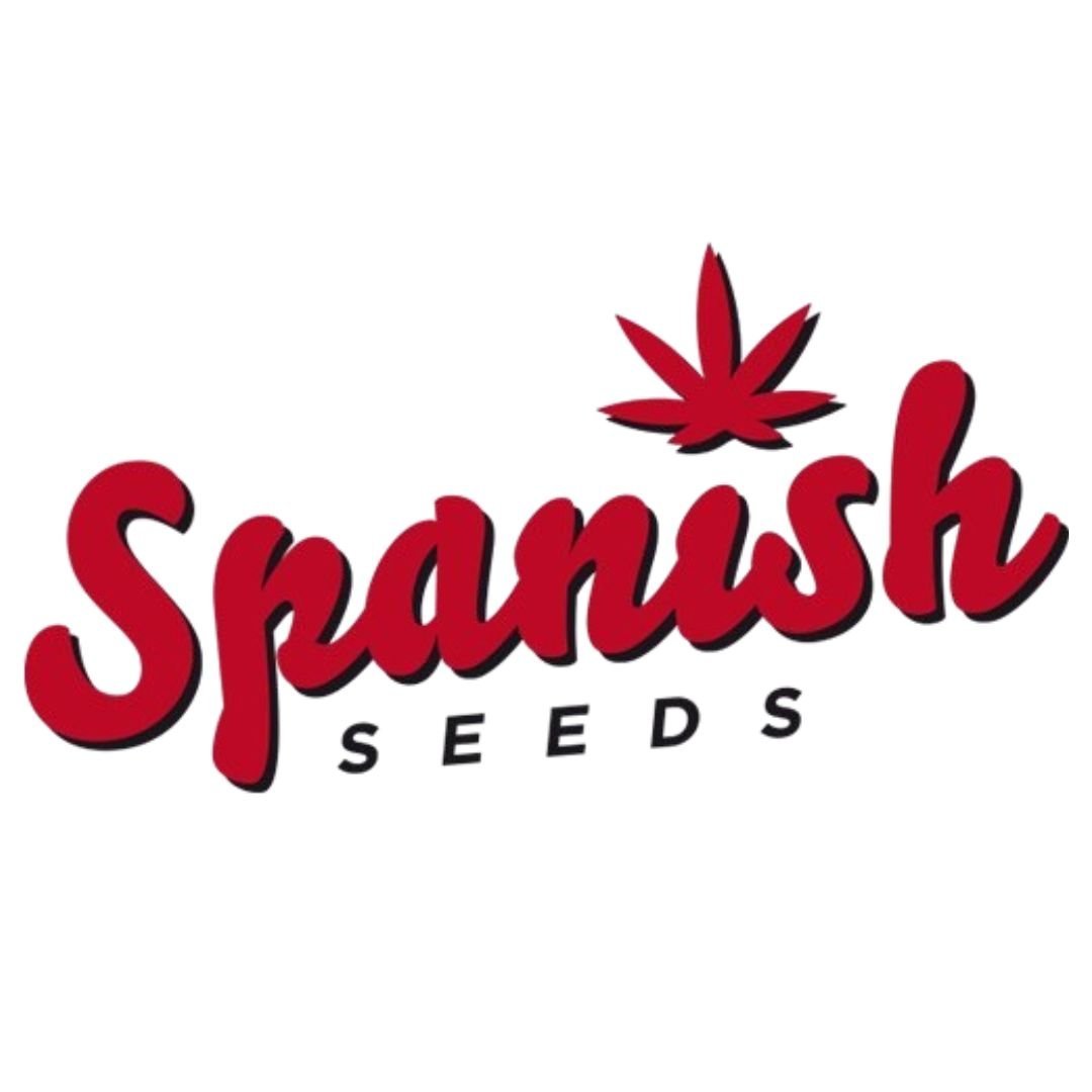 White Widow x Amnesia 50uds Spanish Seeds