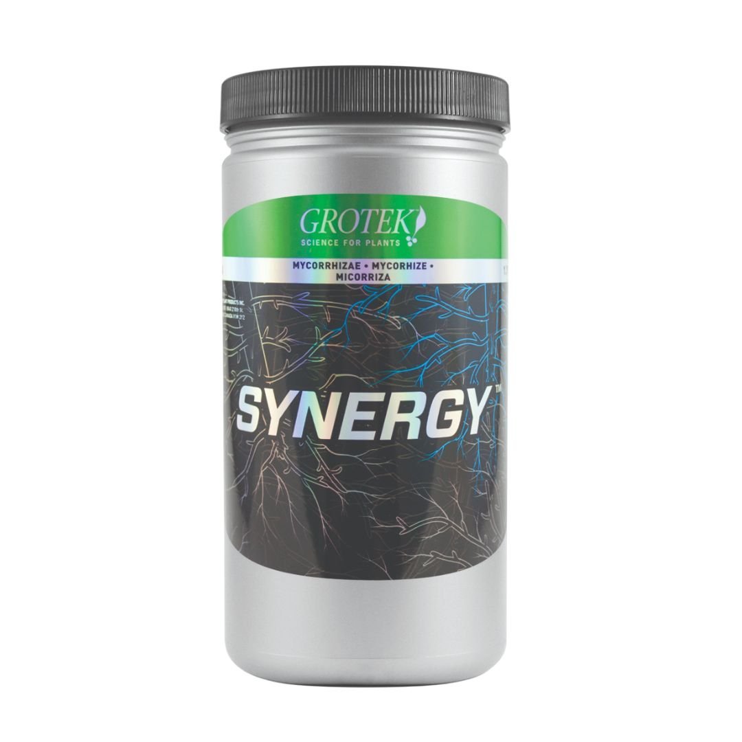 SYNERGY GROTEK