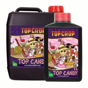 Top candy Top Crop