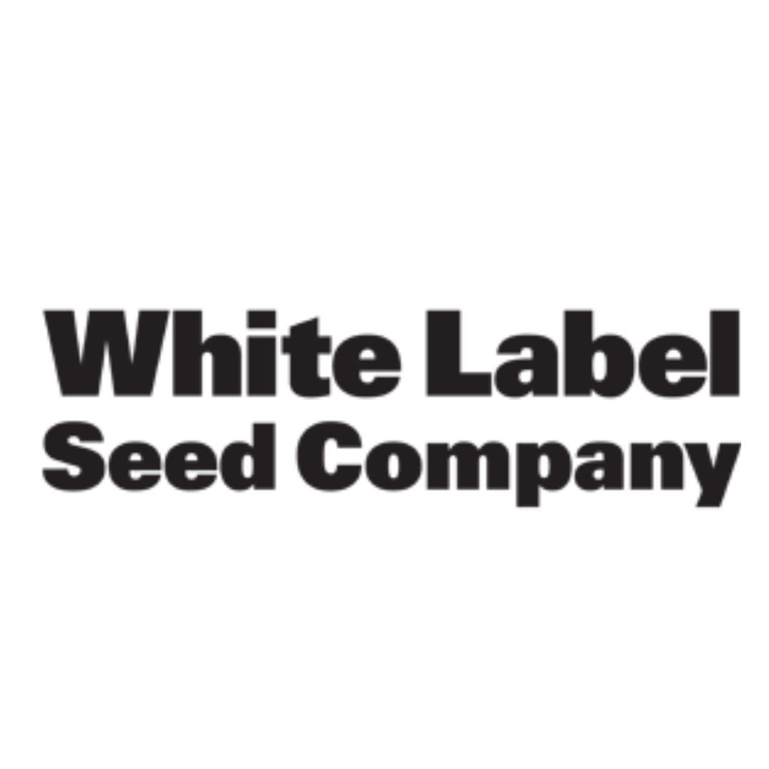 Northern Lights White label