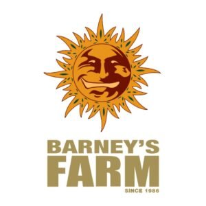 Pineapple express Barney’s Farm