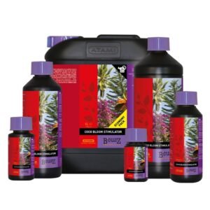 Coco Bloom Stimulator B`cuzz ATAMI