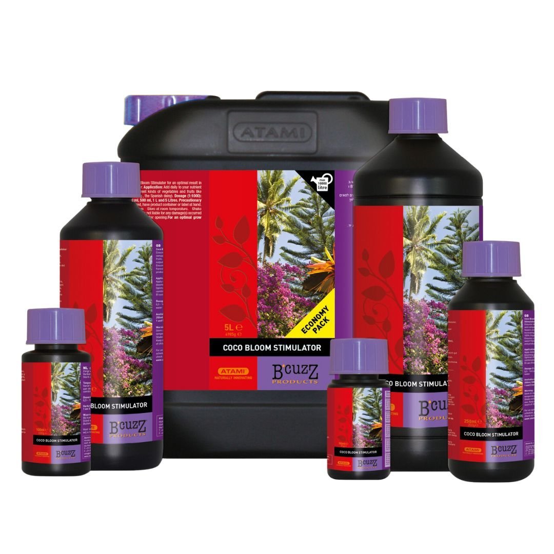 Coco Bloom Stimulator B`cuzz ATAMI