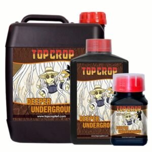 Deeper Underground Top Crop