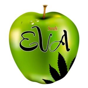 TNT Kush CBD 3uds EVA SEEDS