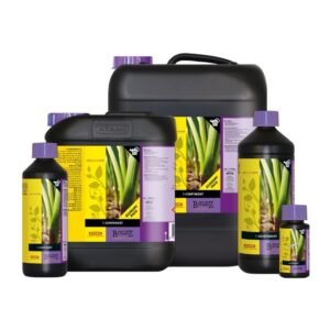 One Component Tierra B`cuzz ATAMI