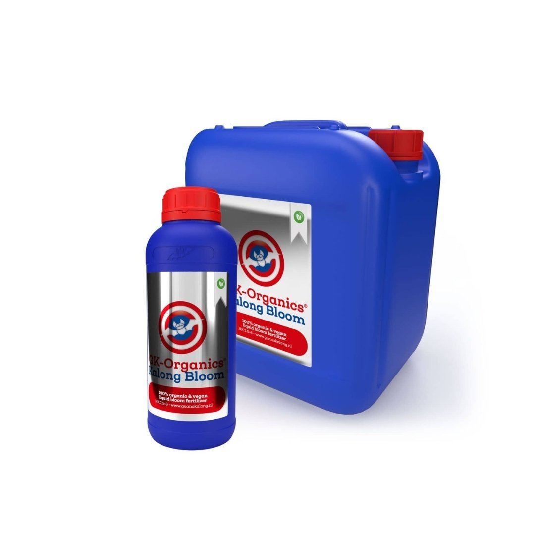 Guanokalong Kalong Bloom