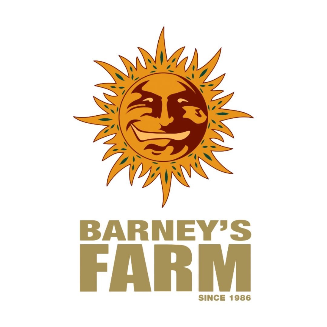 Watermelon Zkittlez Barney`s Farm Seeds