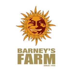 Mimosa Evo Barney`s Farm Seeds