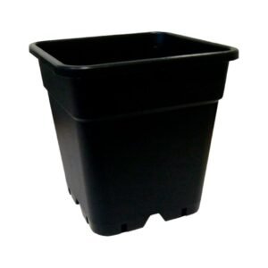 Maceta para el Wilma