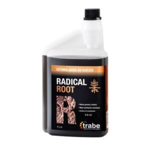 Radical Root Trabe