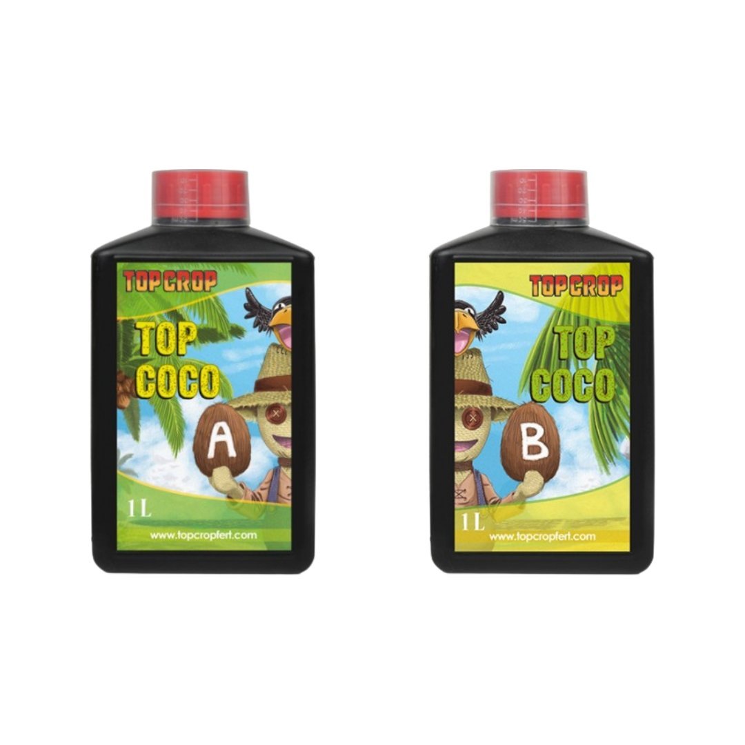 Top Coco A+B Top Crop